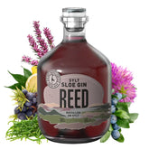 Sylter REED Sloe Gin - GiNFAMILY